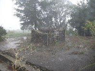 fugio Pirao-20101010 118